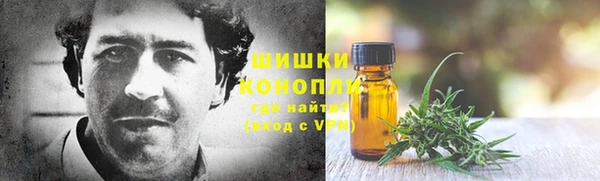 индика Протвино